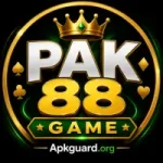 PAK88 Game Logo
